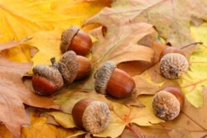 Marketing planning autumn - weigh up your marketing channels effectiveness
