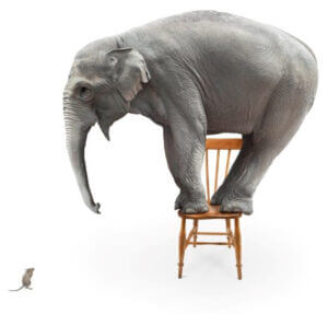 Elephant and Mouse from iStock2