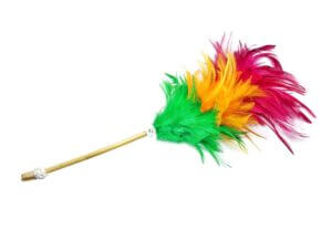 Feather Duster